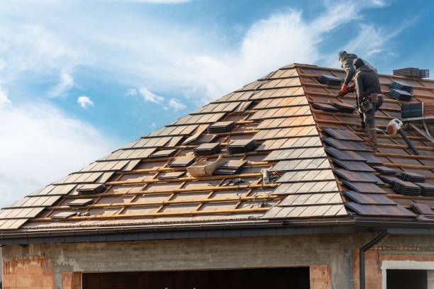 Best Roof Moss and Algae Removal  in Buchanan Dam, TX